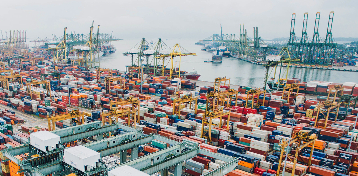 People Technology Port