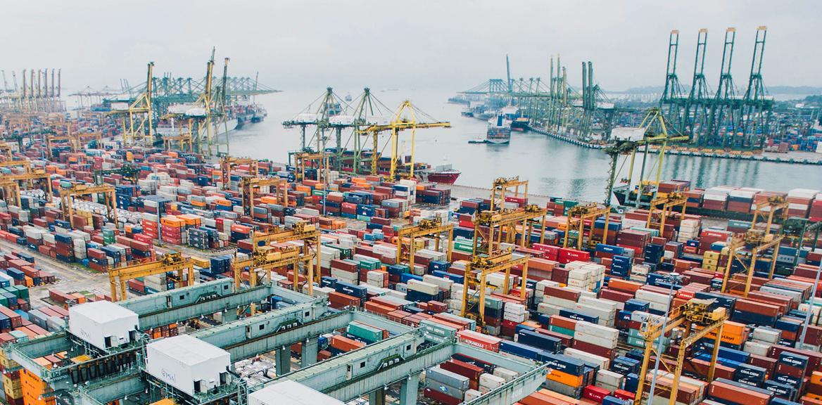 People Technology Port